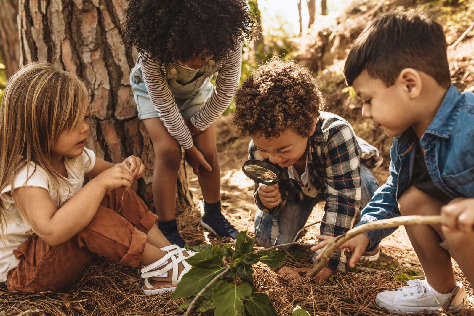 children__nature_network_cover.jpg